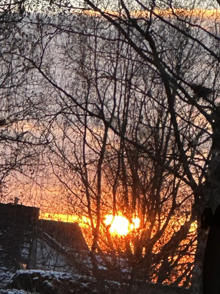 Andachtsbild von Frauchen