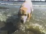 Image from Bungee