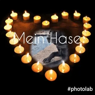 Condolence image of Heidi mit Buddy tief im Herzen