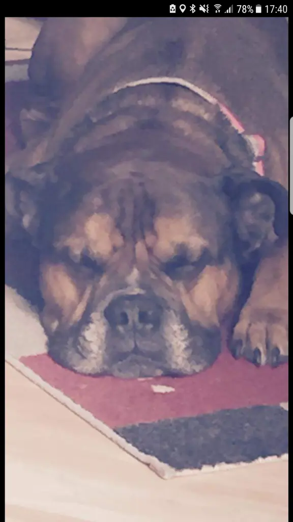 Andachtsbild von Alexandra