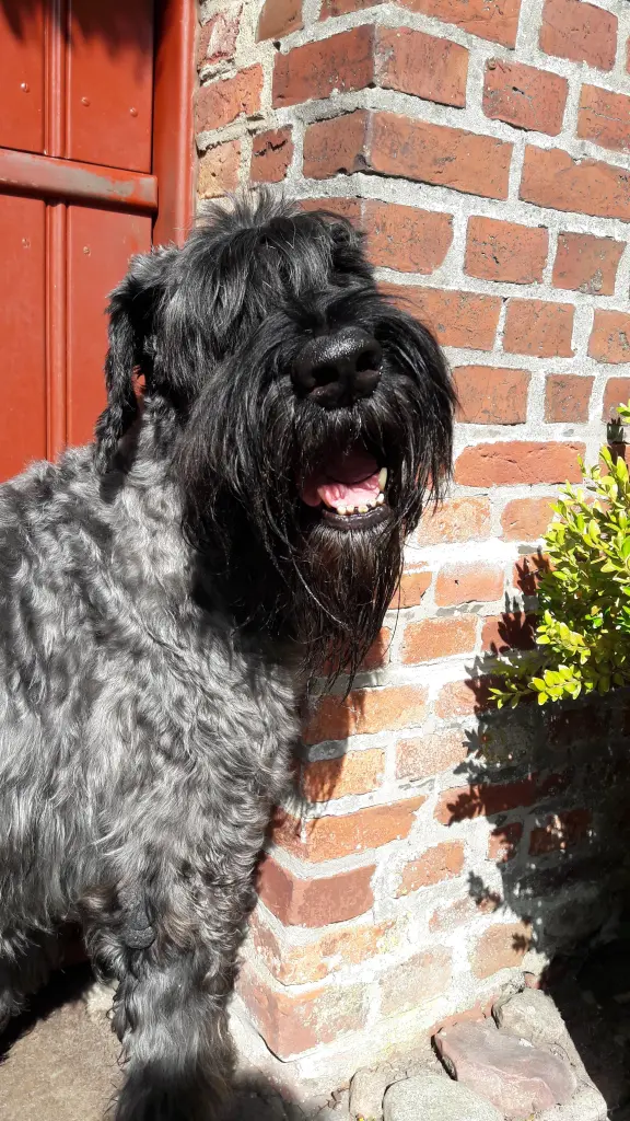 Condolence image of doris