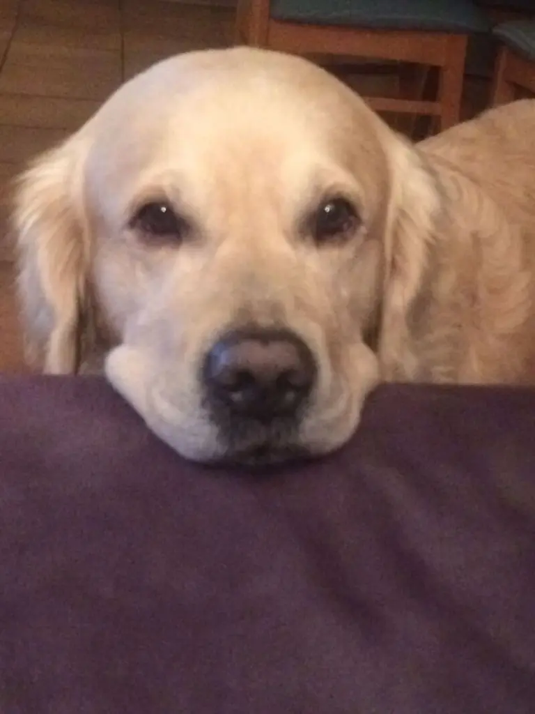 Condolence image of Andy und Piet ❤️