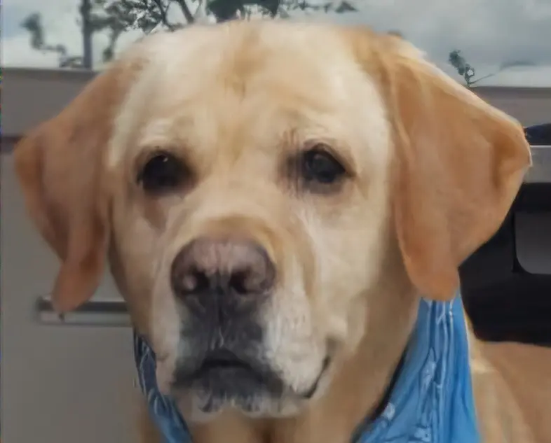 Condolence image of Jacqueline 