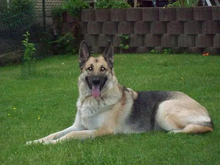 Condolence image of Gitte