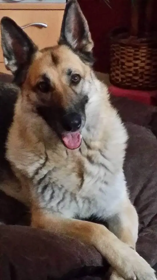 Condolence image of Jürgen 