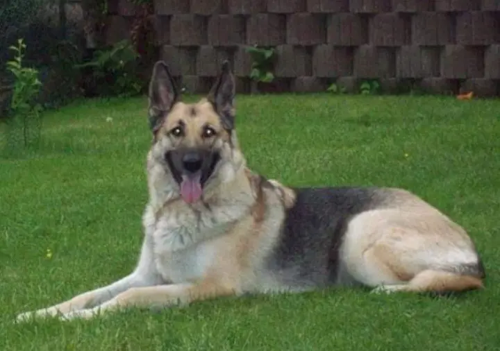 Condolence image of Mama