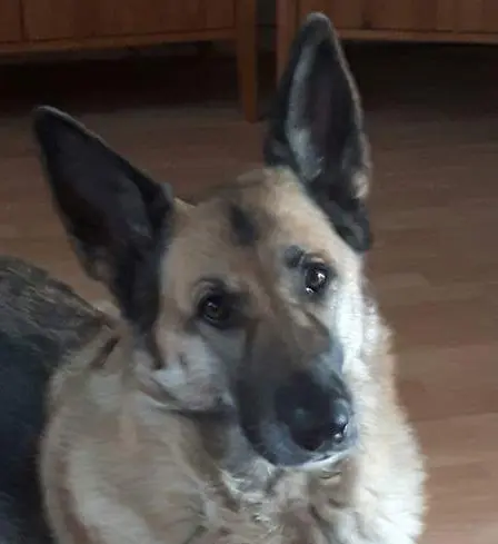 Andachtsbild von Heinz-Jürgen  Lemke 