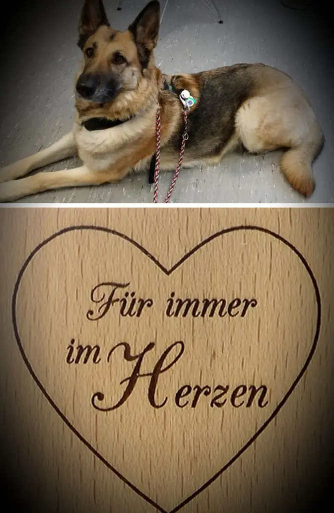 Andachtsbild von Brigitte