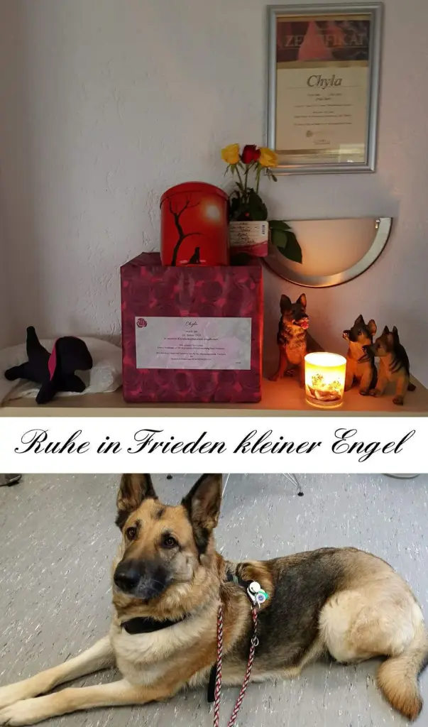 Andachtsbild von Brigitte