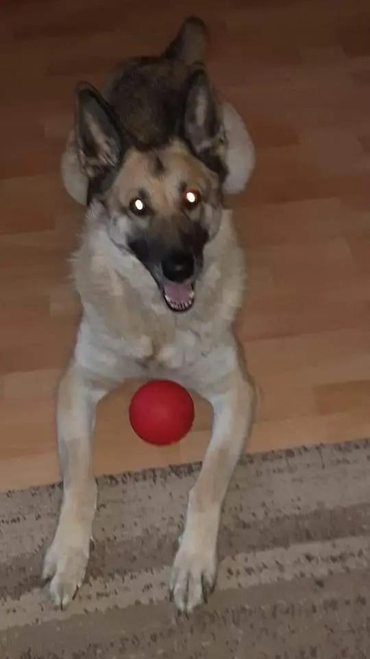 Andachtsbild von Mama 