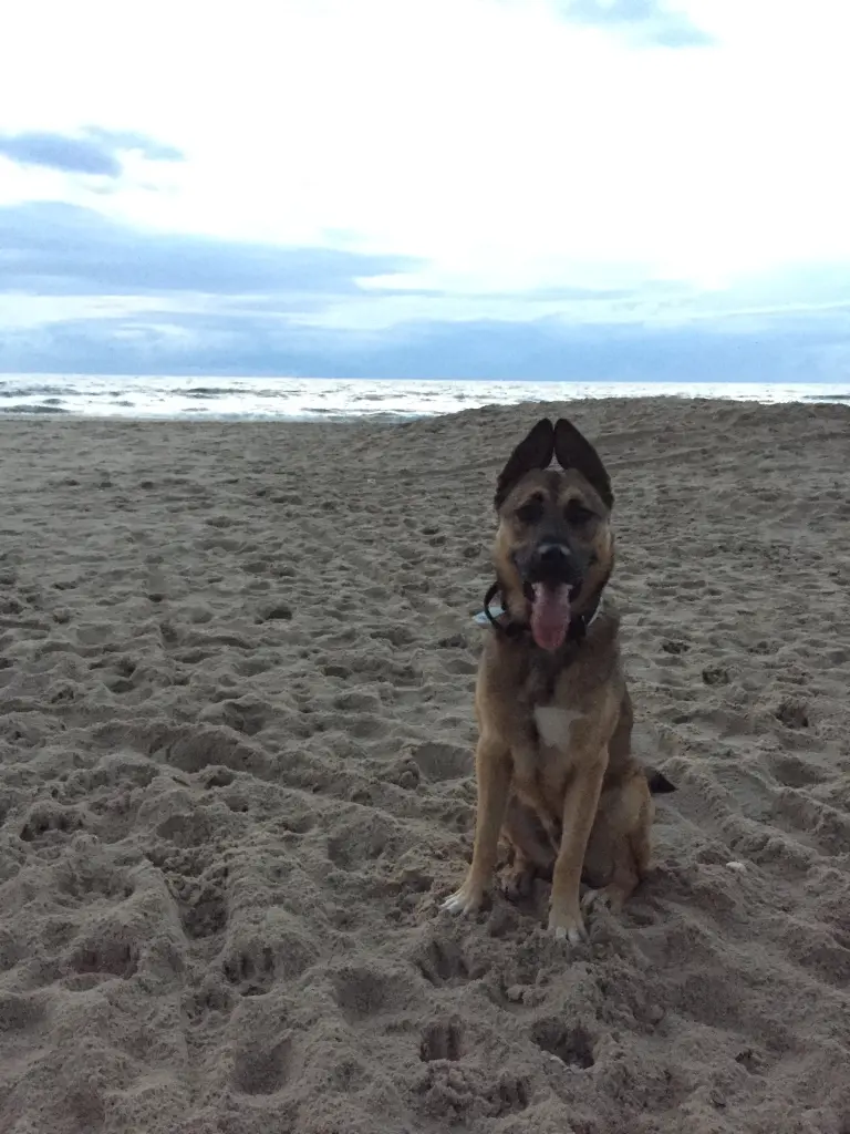 Andachtsbild von Björn