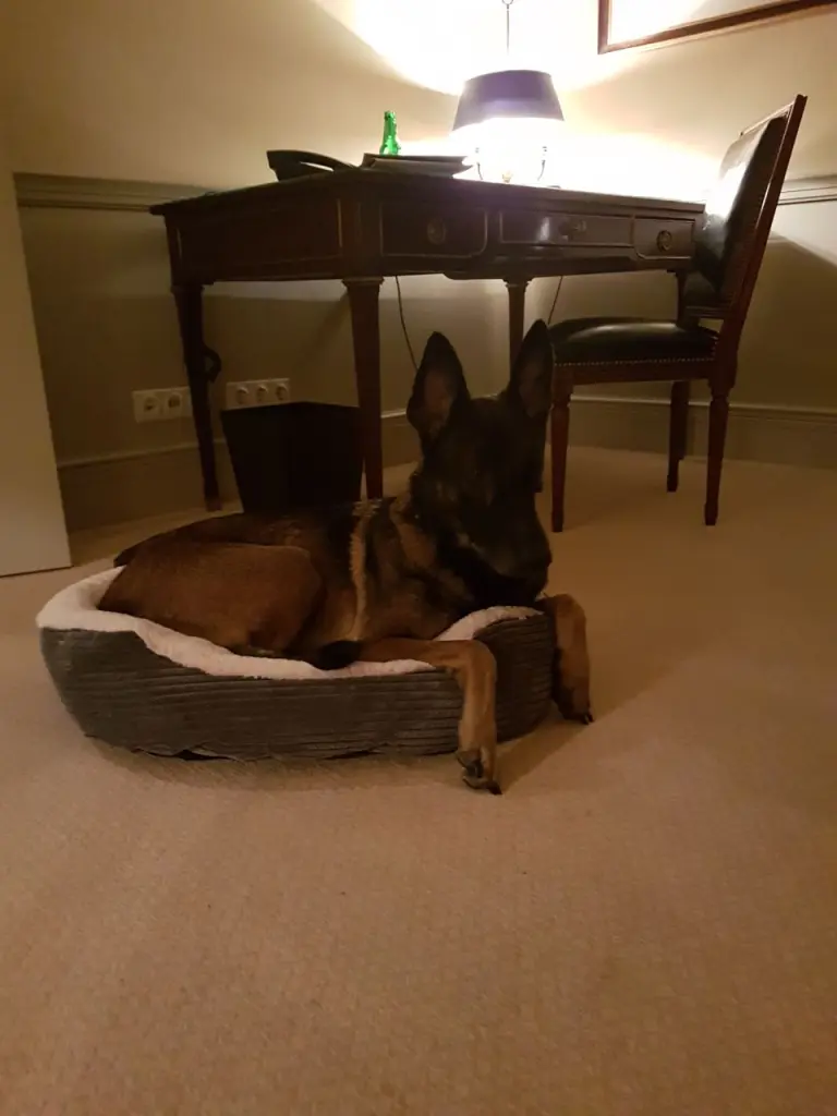 Andachtsbild von Katinka