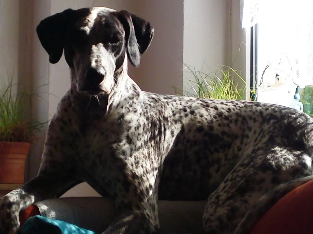 Andachtsbild von Ewa mit dir im Herzen