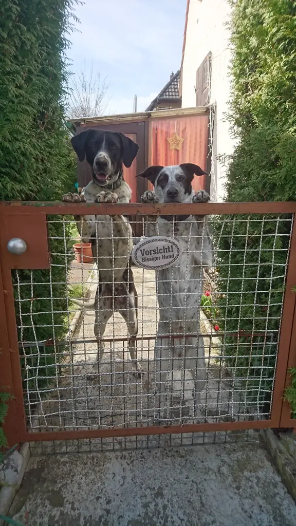 Andachtsbild von Ewa mit dir Elo im ❤