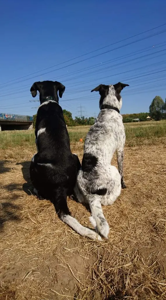 Andachtsbild von Mama mit dir im Herzen