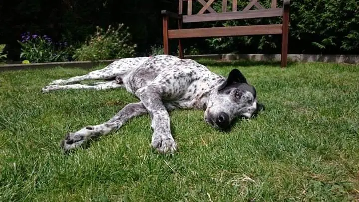 Andachtsbild von Ewa mit elo im Herzen