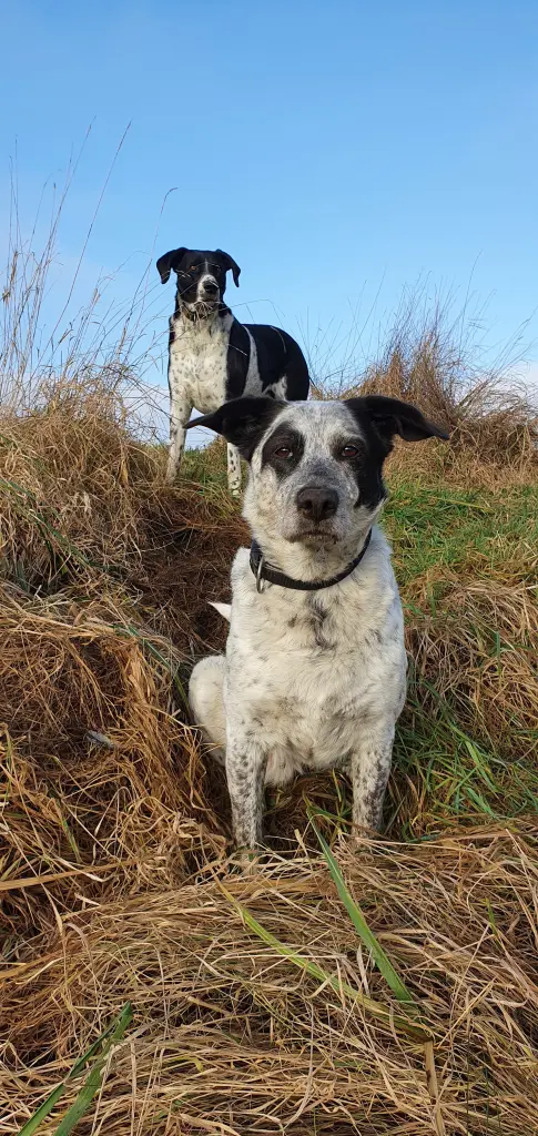 Andachtsbild von Deine mama mit dir im herzen
