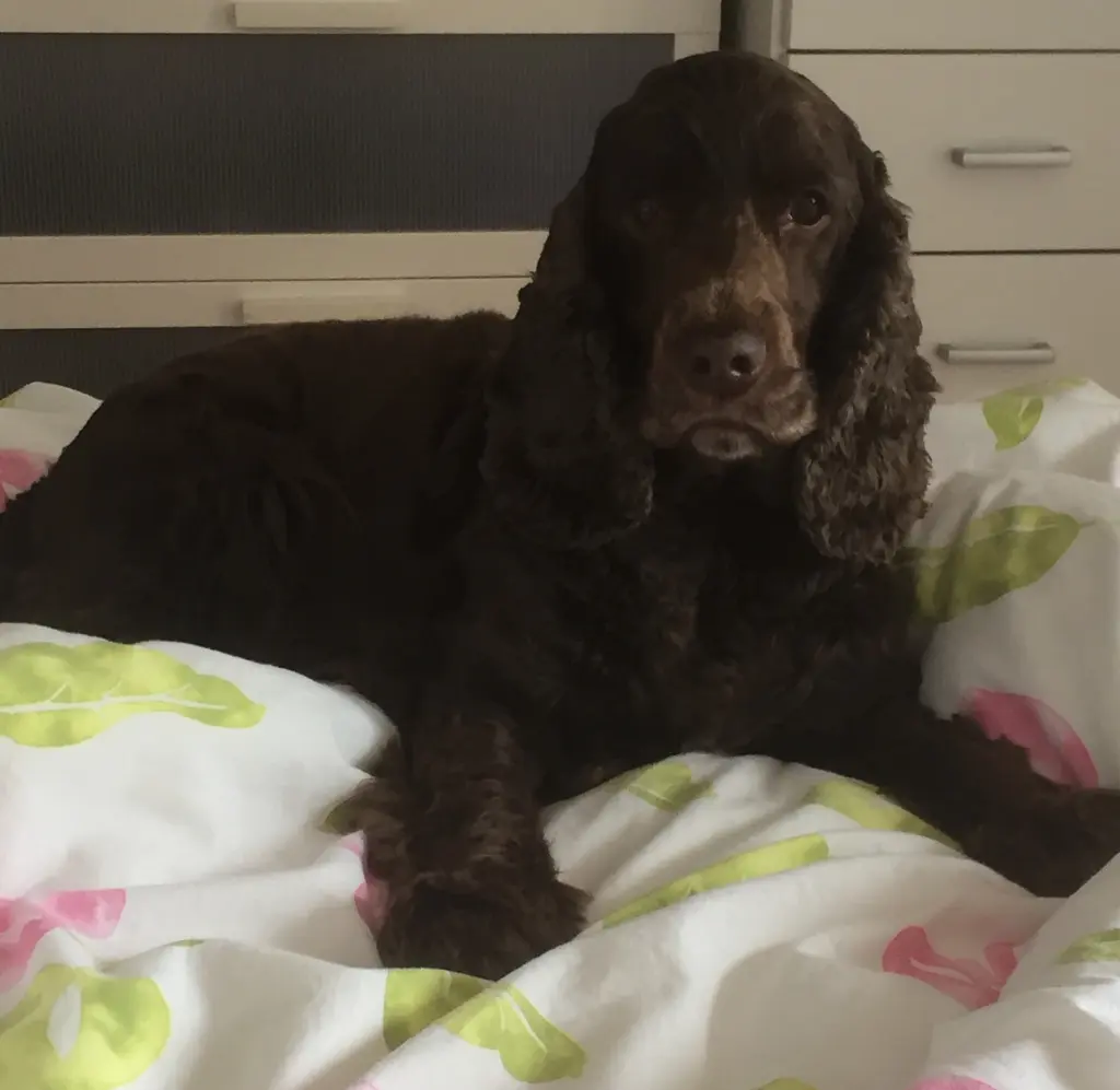 Andachtsbild von Kerstin mit Linus im ❤️