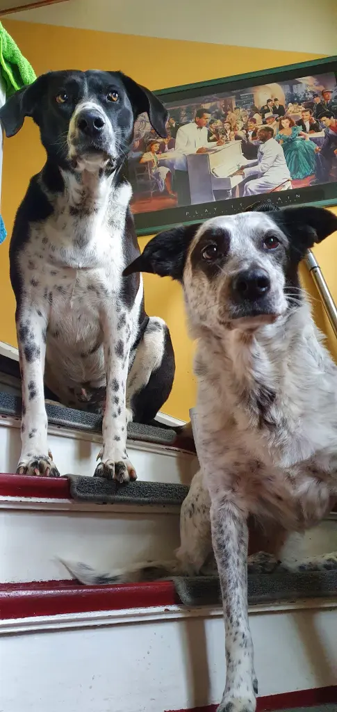 Andachtsbild von Deine mama mit dir im Herzen 