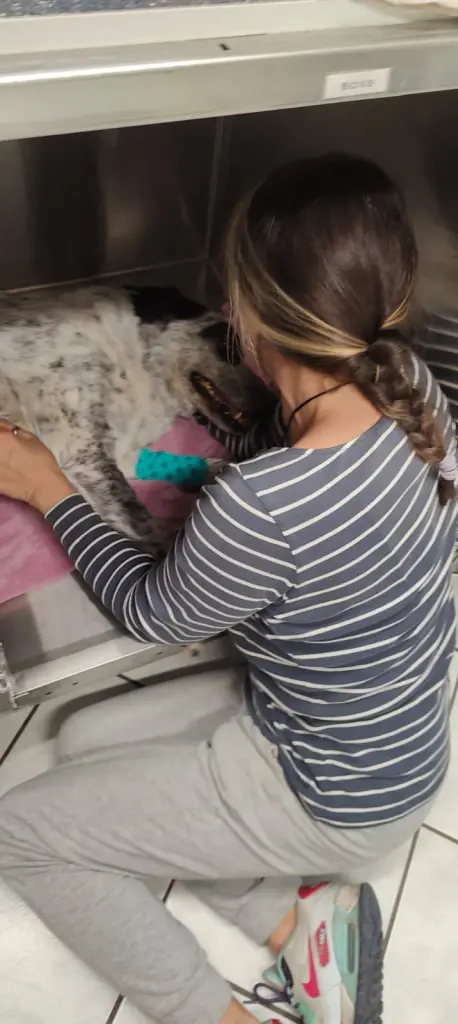 Andachtsbild von Elo und Mia in meinem Herzen