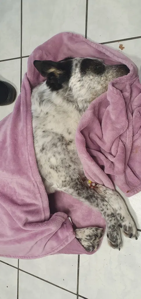 Andachtsbild von Deine Mama mit dir im Herzen