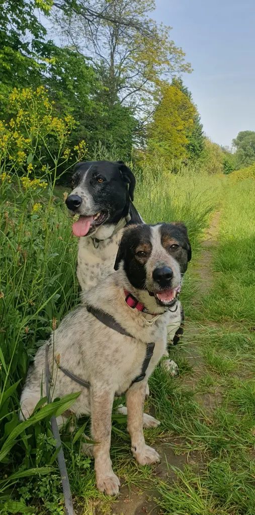 Andachtsbild von Mama mit Elo im Herzen