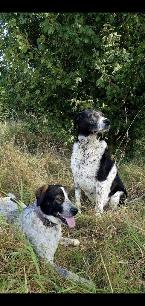 Andachtsbild von Mama mit dir im Herzen