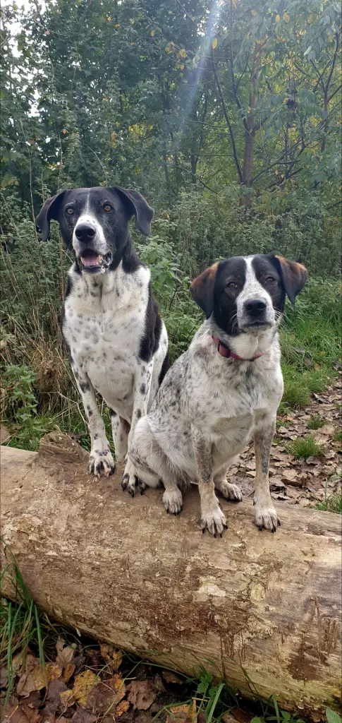 Andachtsbild von Deine Mama mit dir im Herzen