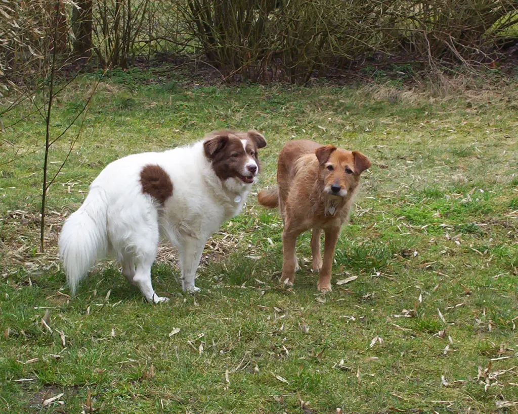 Condolence image of Elke mit Josefa u. Vincent
