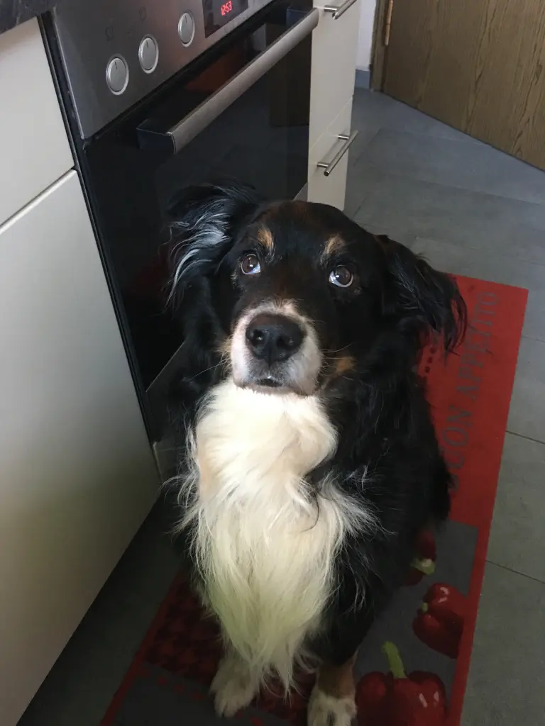 Condolence image of Unbekannt