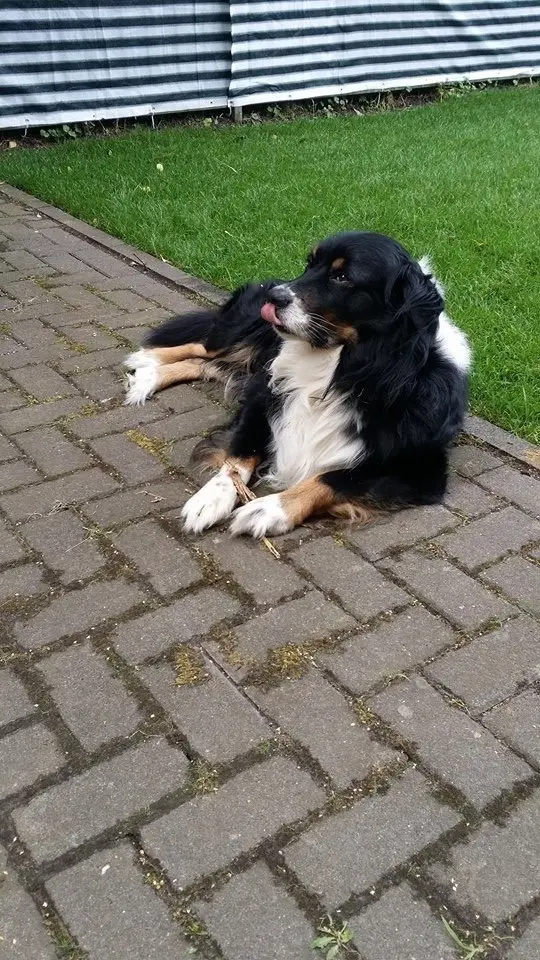 Condolence image of Unbekannt