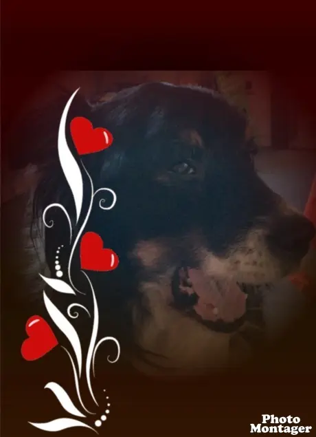 Condolence image of Unbekannt