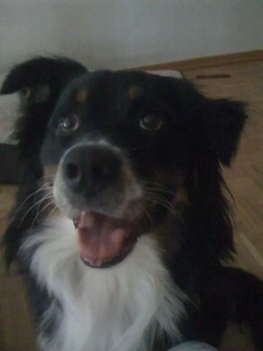 Condolence image of Unbekannt