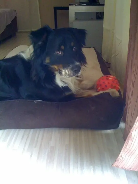 Condolence image of Unbekannt