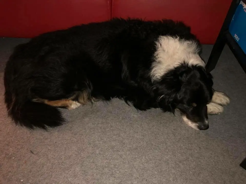 Condolence image of Unbekannt