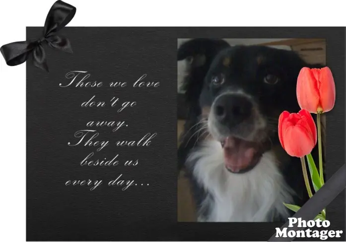 Condolence image of Unbekannt