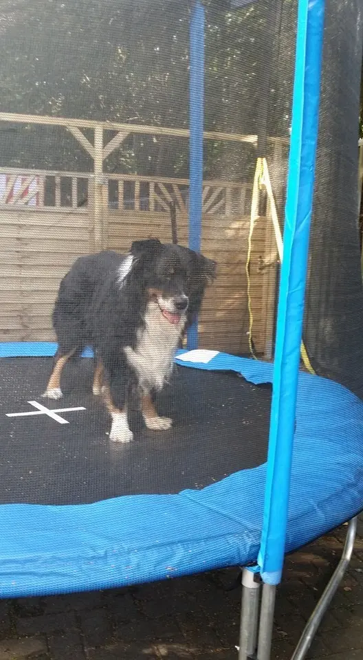 Condolence image of Unbekannt