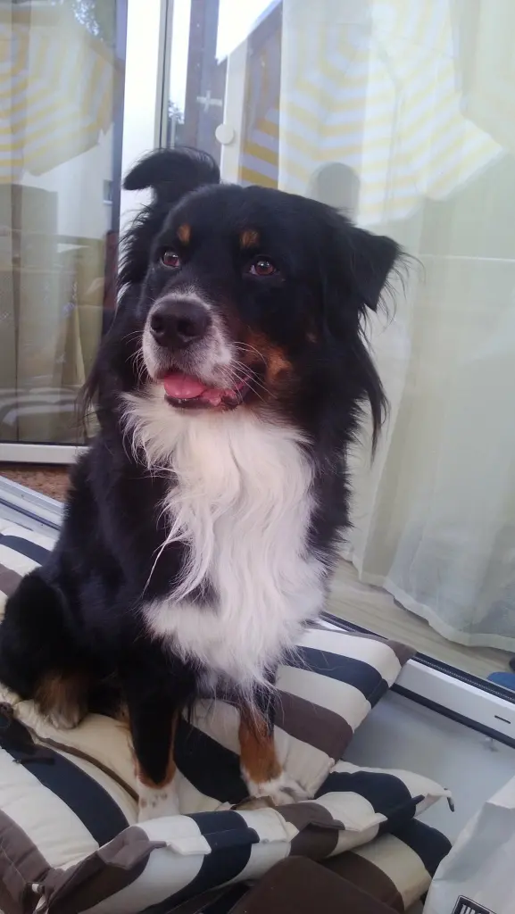 Condolence image of Unbekannt