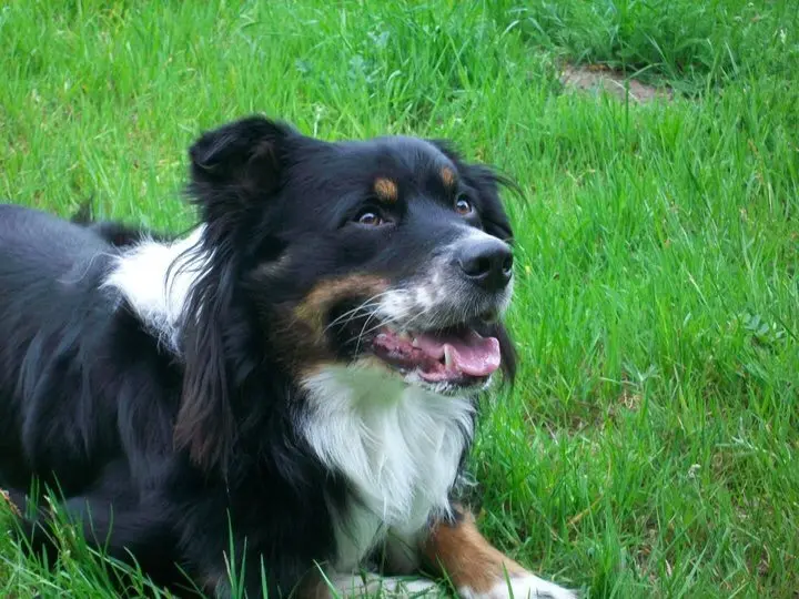 Condolence image of Unbekannt