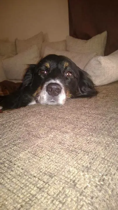 Condolence image of Unbekannt