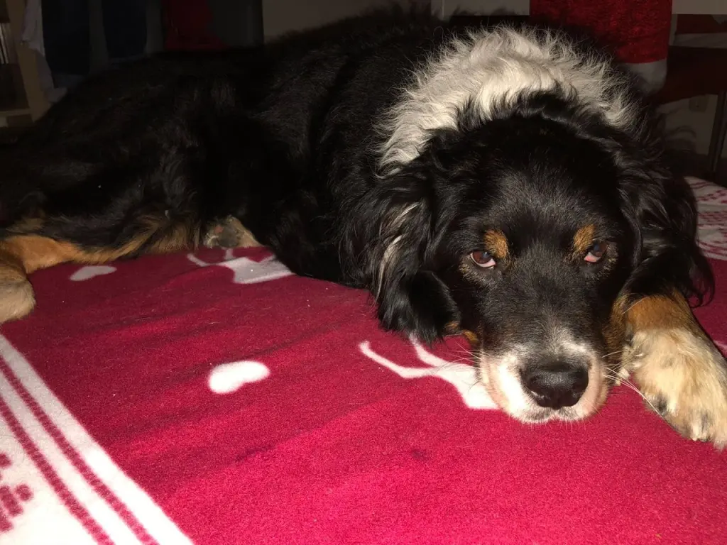 Condolence image of Unbekannt