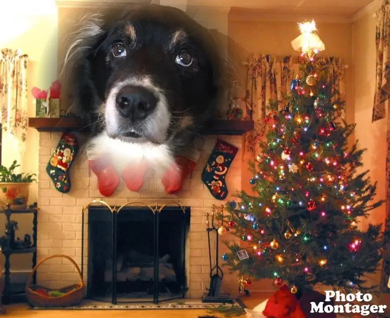 Condolence image of Unbekannt