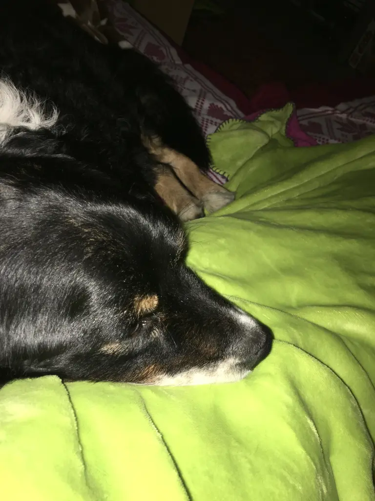 Condolence image of Unbekannt