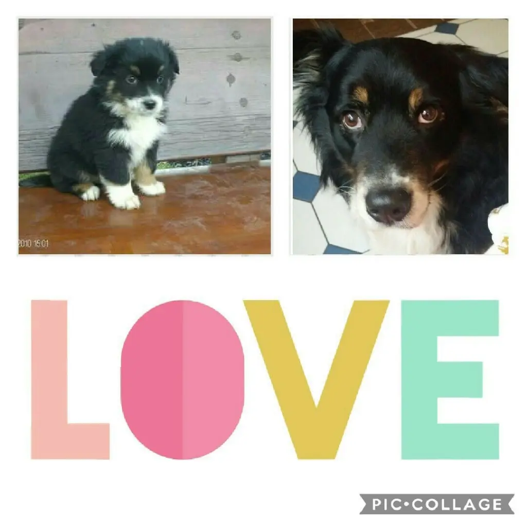 Condolence image of Unbekannt