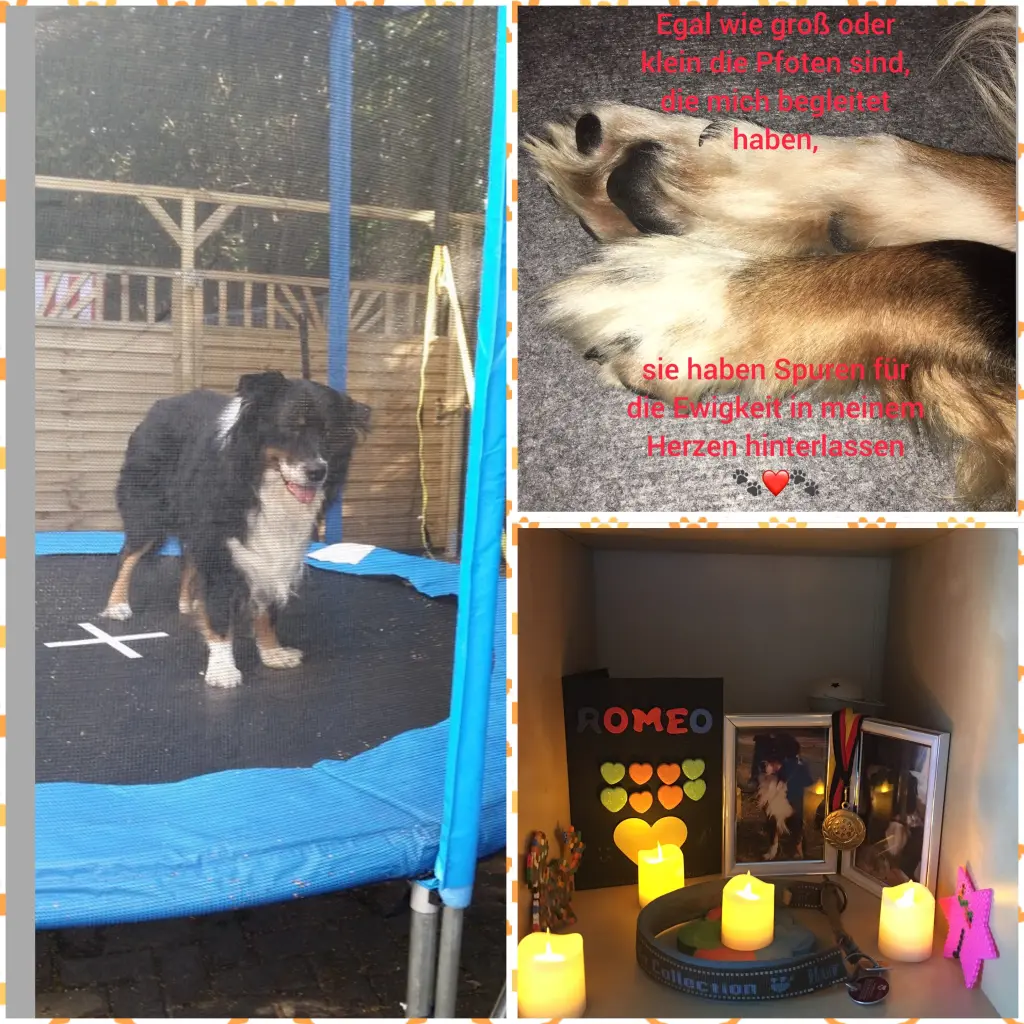 Condolence image of Unbekannt