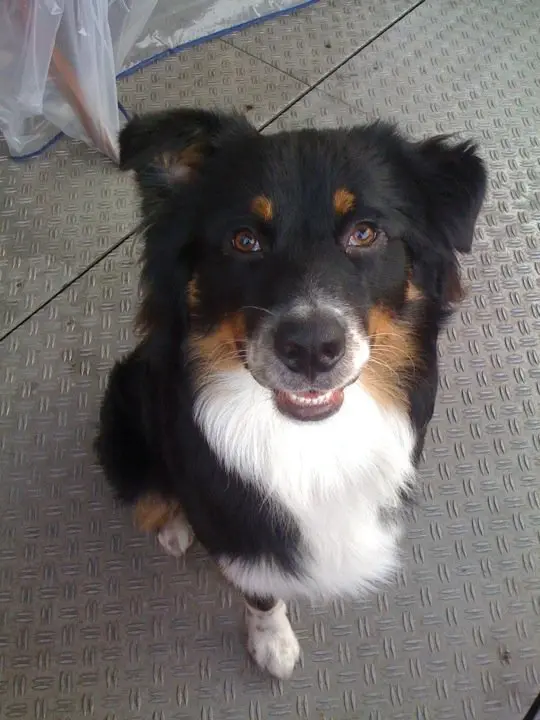 Condolence image of Unbekannt