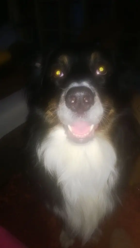 Condolence image of Unbekannt