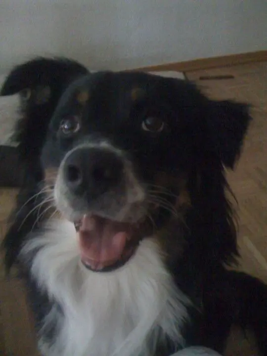 Condolence image of Unbekannt