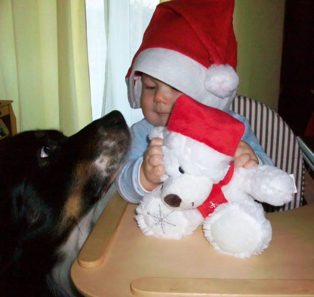 Condolence image of Unbekannt