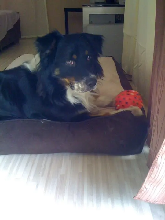 Condolence image of Unbekannt